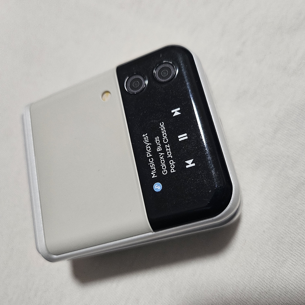 Samsung Earbuds Case